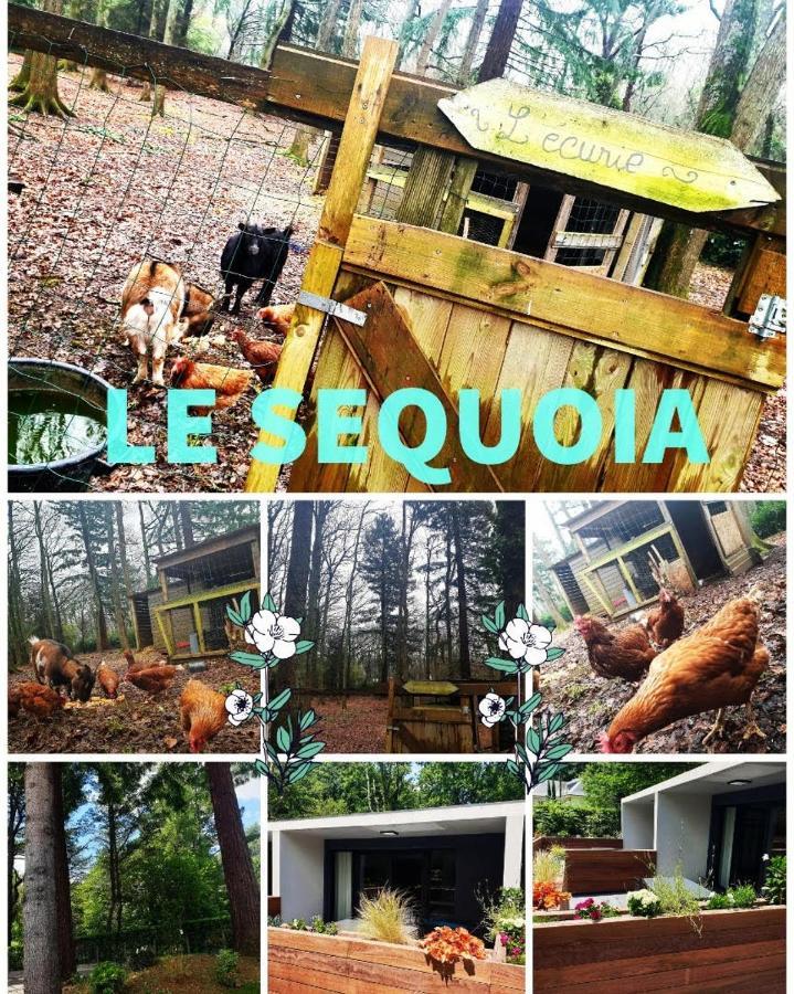 Le Sequoia Apartment Saint-Sébastien-sur-Loire Exterior foto
